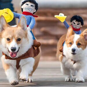 Funny Dog Cowboy Riding Costume